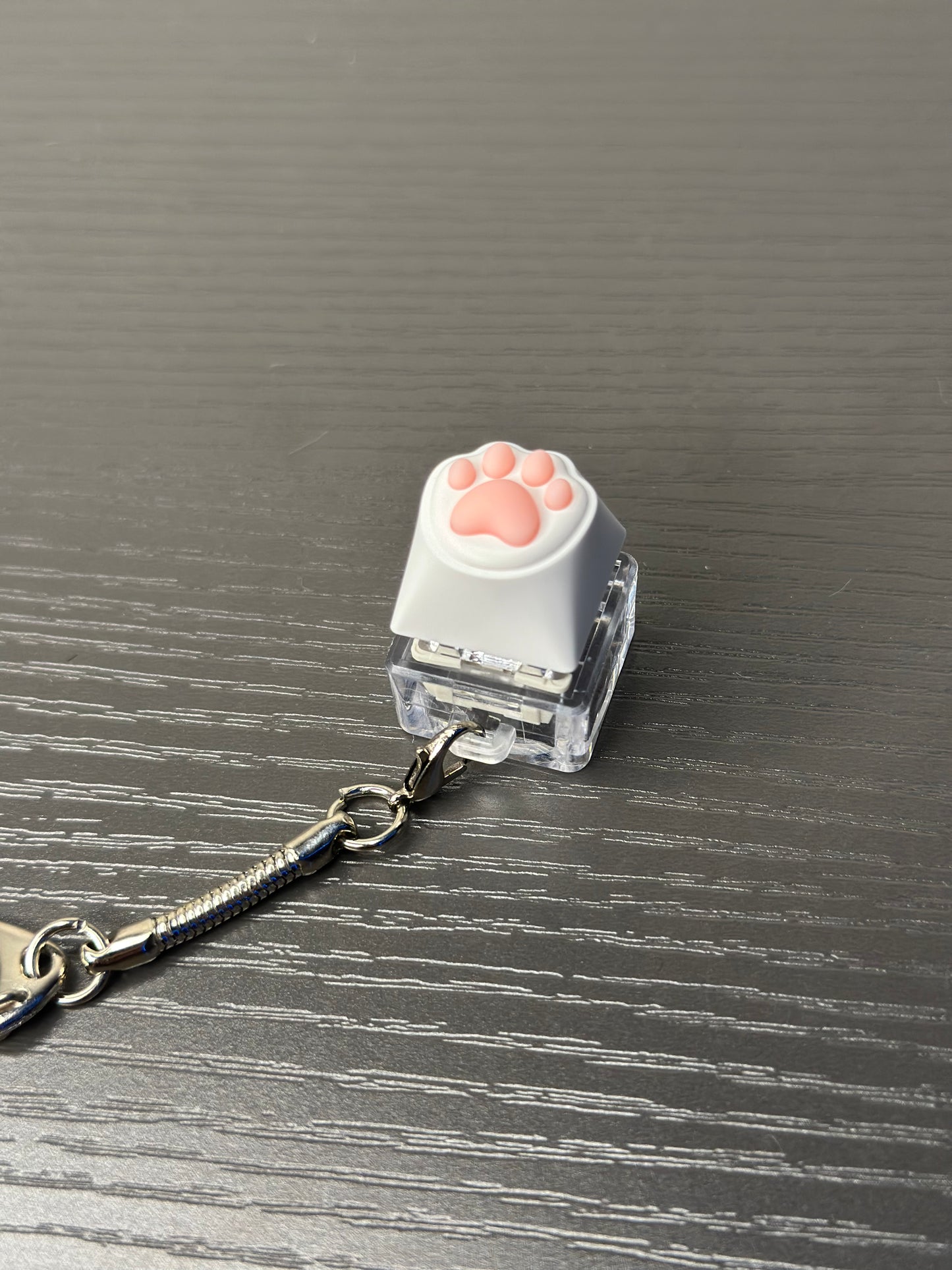 Cat paw keyboard keychain